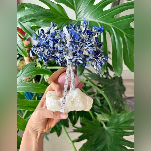 Lapis Lazuli Tree - Picture 5 of 5